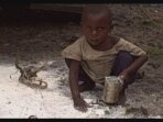 食糧配給所に響く銃声−コンゴ民主共和国・食糧支援の現場から